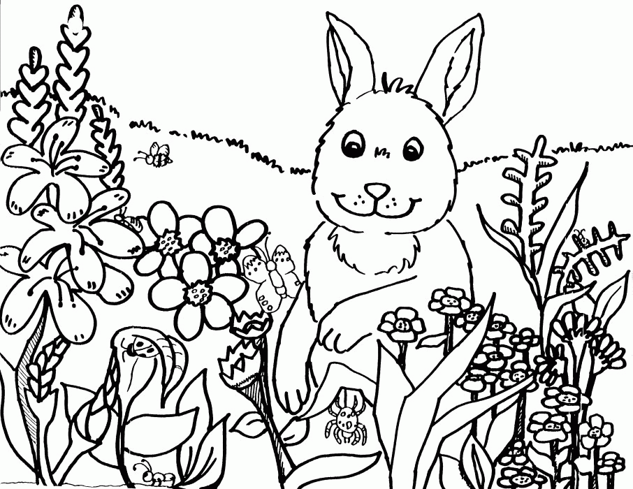 springtime coloring sheets | Coloring Picture HD For Kids 