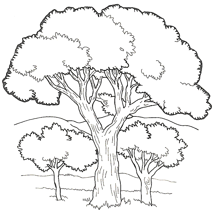 Trees-coloring-5 | Free Coloring Page Site