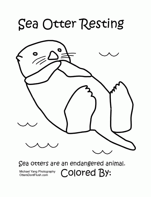Sea Otter Coloring Page - Michael Yang Photography