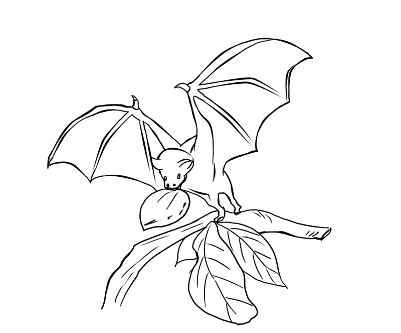 Bat Coloring Pages - Free Coloring Pages For KidsFree Coloring 