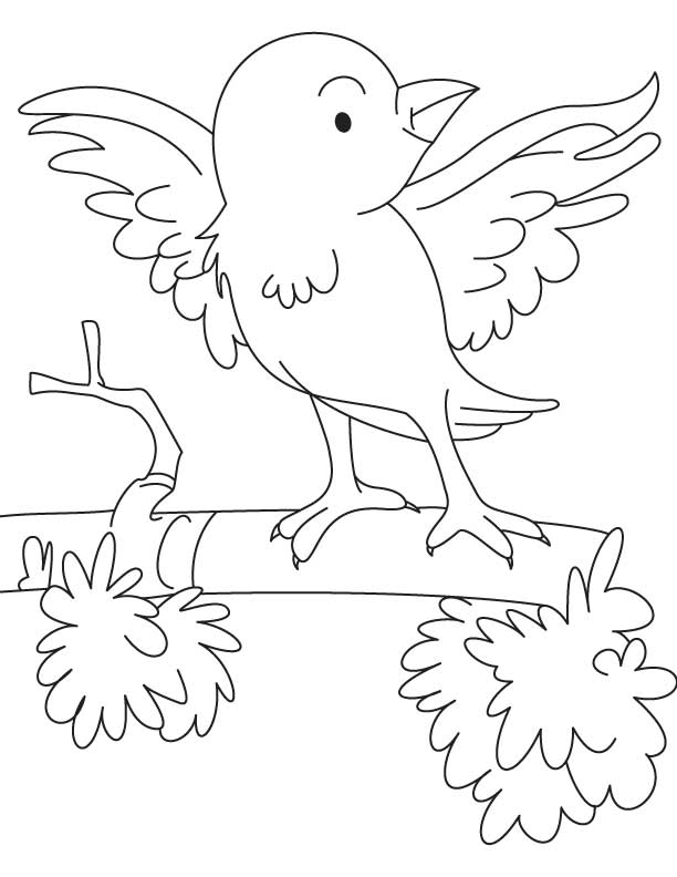 Small sparrow coloring pages, Kids Coloring pages, Free Printable 