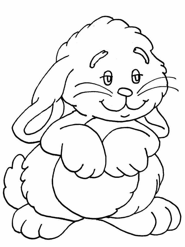 Bunny Animal Colouring Pages - Coloring Pages