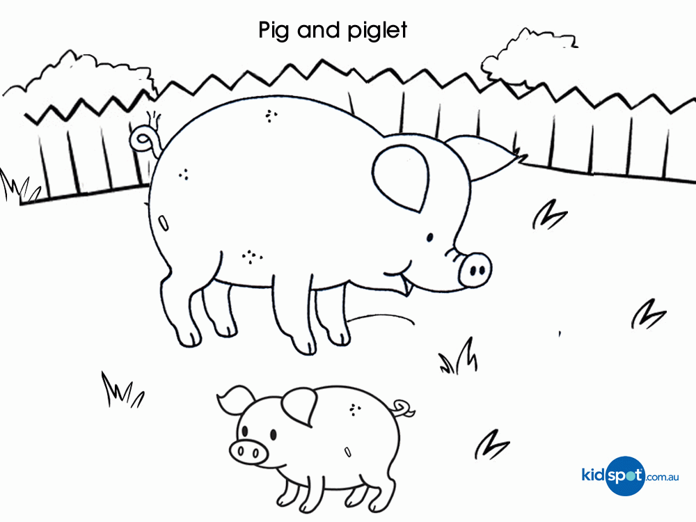 Farm Animals - Colouring Pages - Pig