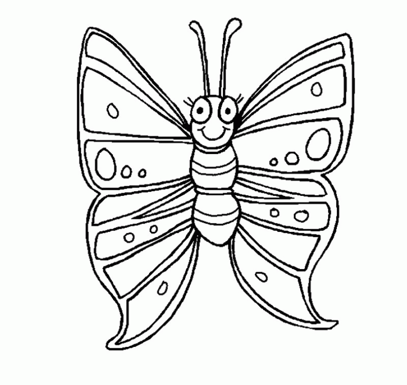 Butterfly Very Big And Unique Coloring Page - Kids Colouring Pages