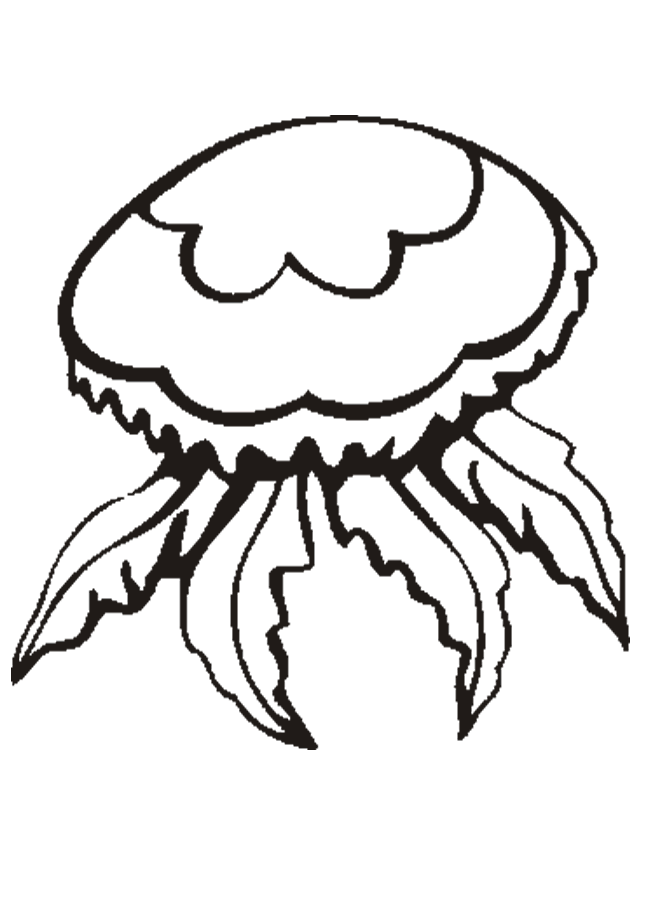 Jellyfish-coloring-pages-4 | Free Coloring Page Site