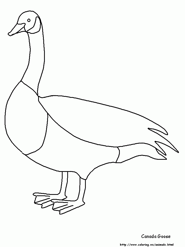 Pix For > Goose Coloring Page