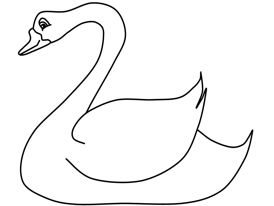 toucan toucan%2 Colouring Pages