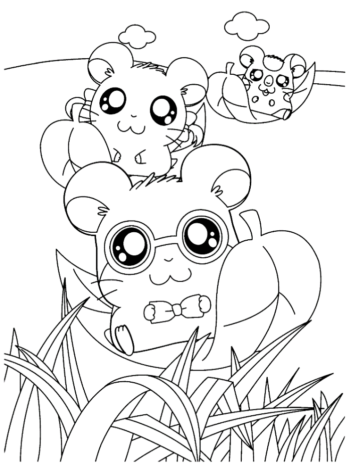 Happy Hamsters Hamtaro Coloring Page - Cartoon Coloring Pages on 
