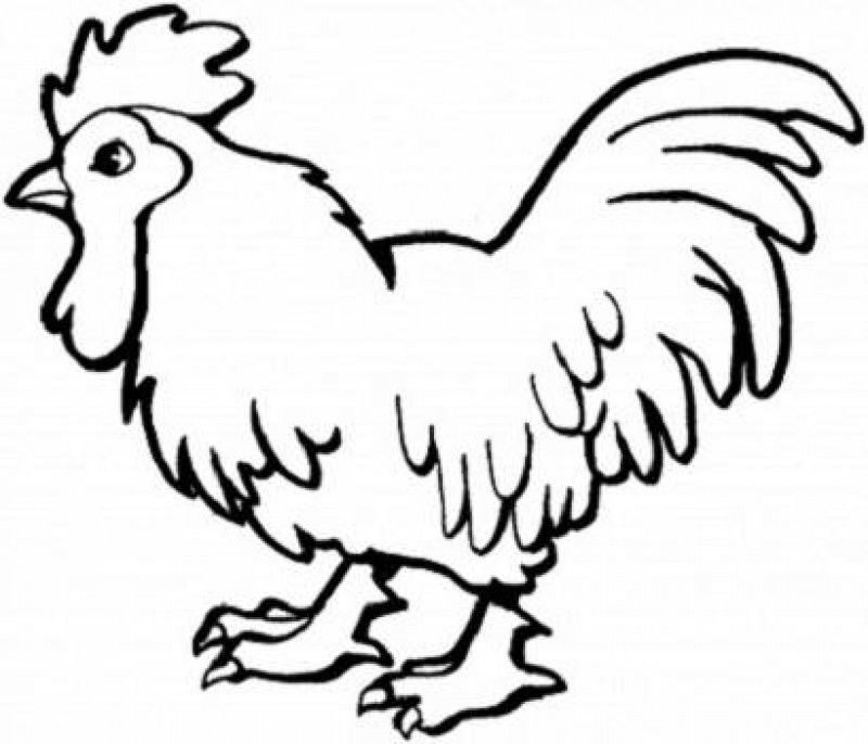 Coloring Pages Chicken - Kids Colouring Pages