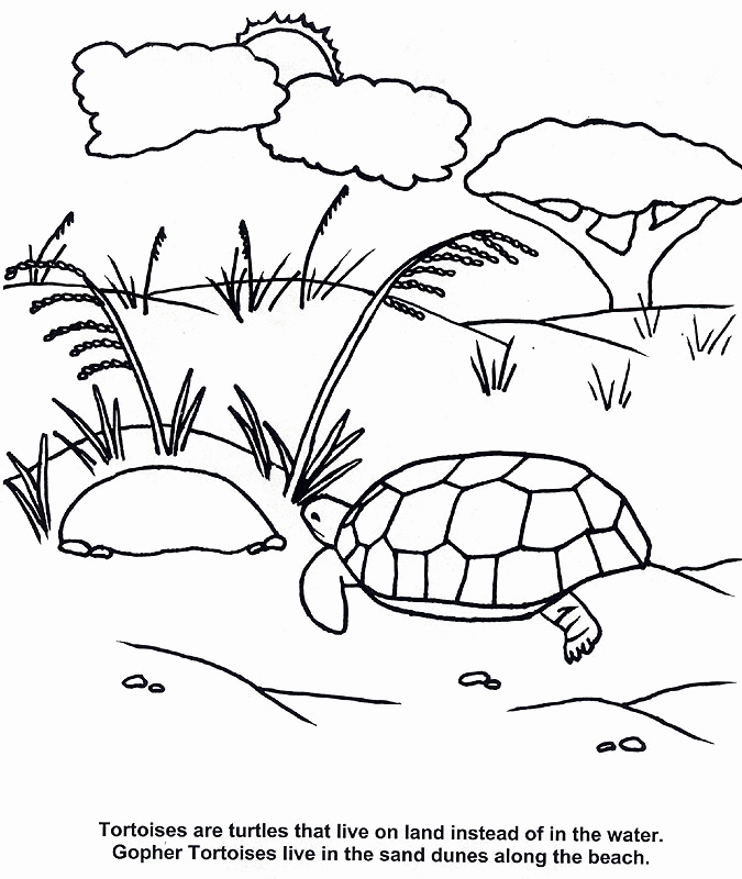 Gopher Colouring Pages (page 3)
