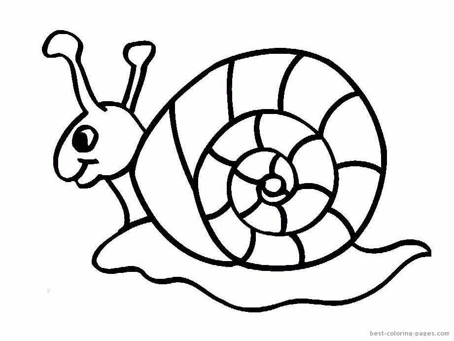 Snails coloring pages | Best Coloring Pages - Free coloring pages 