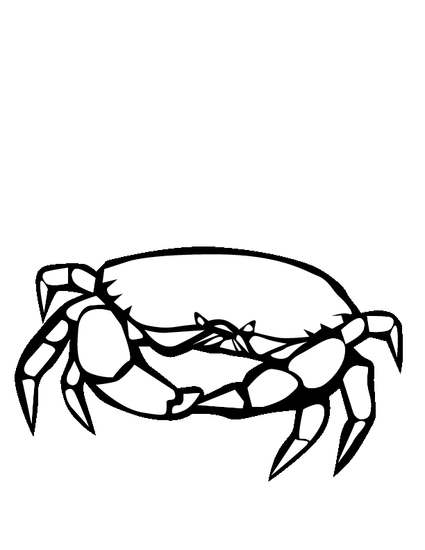 Crab printable coloring pages for kids