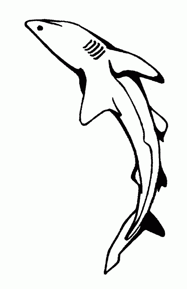 Reef Shark Coloring Page Animals Town Animals Color Sheet 83493 