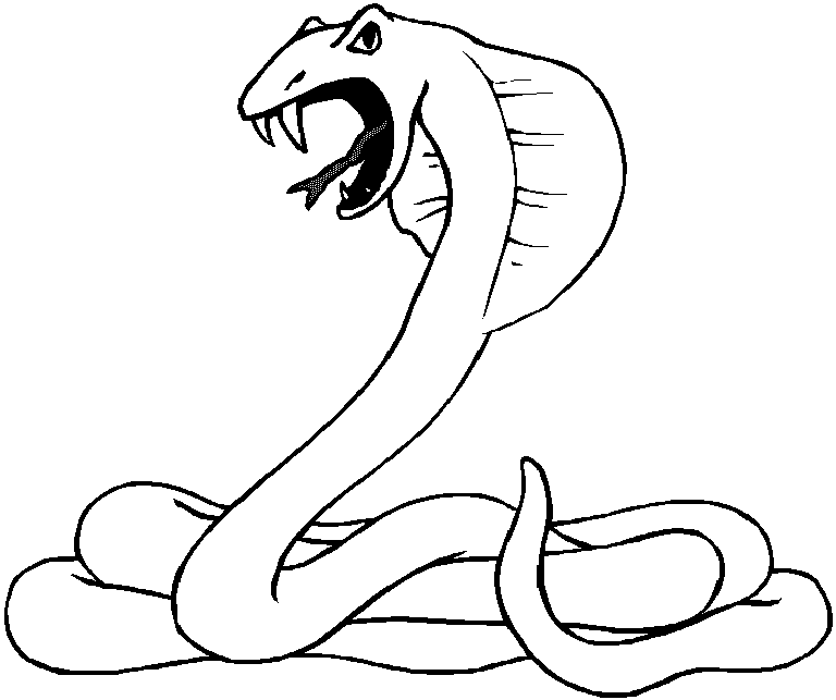 detailed snake Colouring Pages
