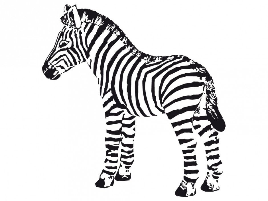 Zebra And Giraffe Coloring Pages 6