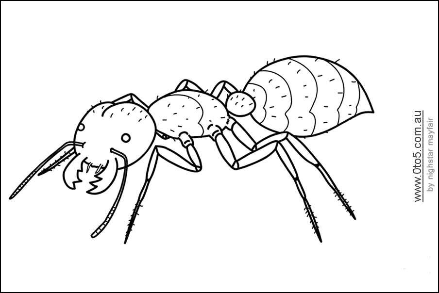 ant and grasshopper coloring page : Printable Coloring Sheet 
