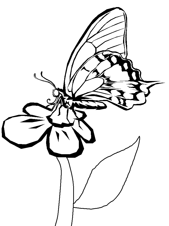 Coloring Pages Of Flower | Flower Coloring Pages | Printable Free 