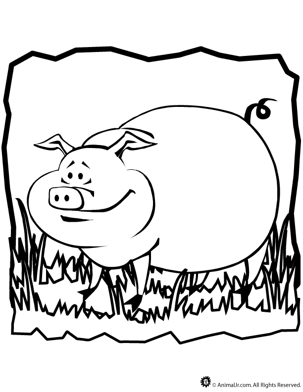 pig coloring sheet image search results