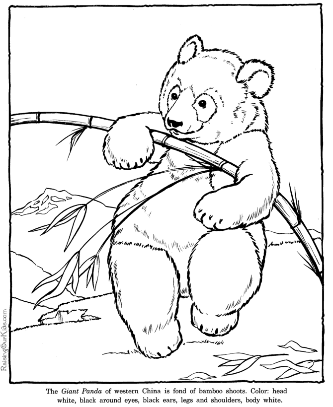 Download National Geographic Coloring Pages Coloring Home
