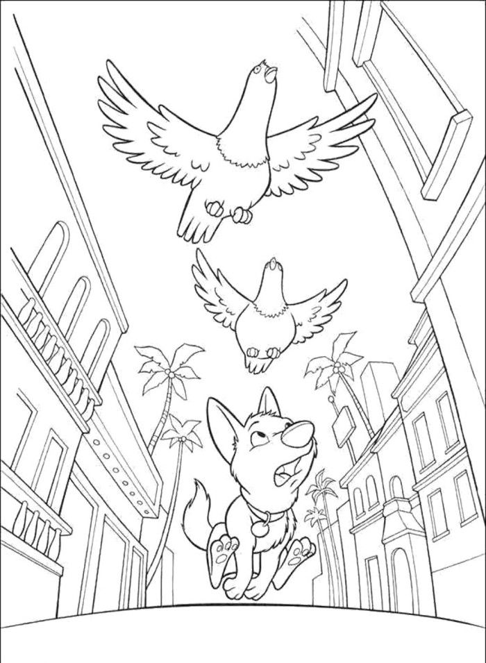 Bolt And Bird Coloring Page - Bolt Cartoon Coloring Pages 