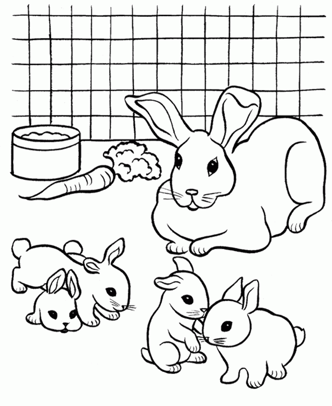 Pet The Rabbit Colouring Pages - Coloring Home