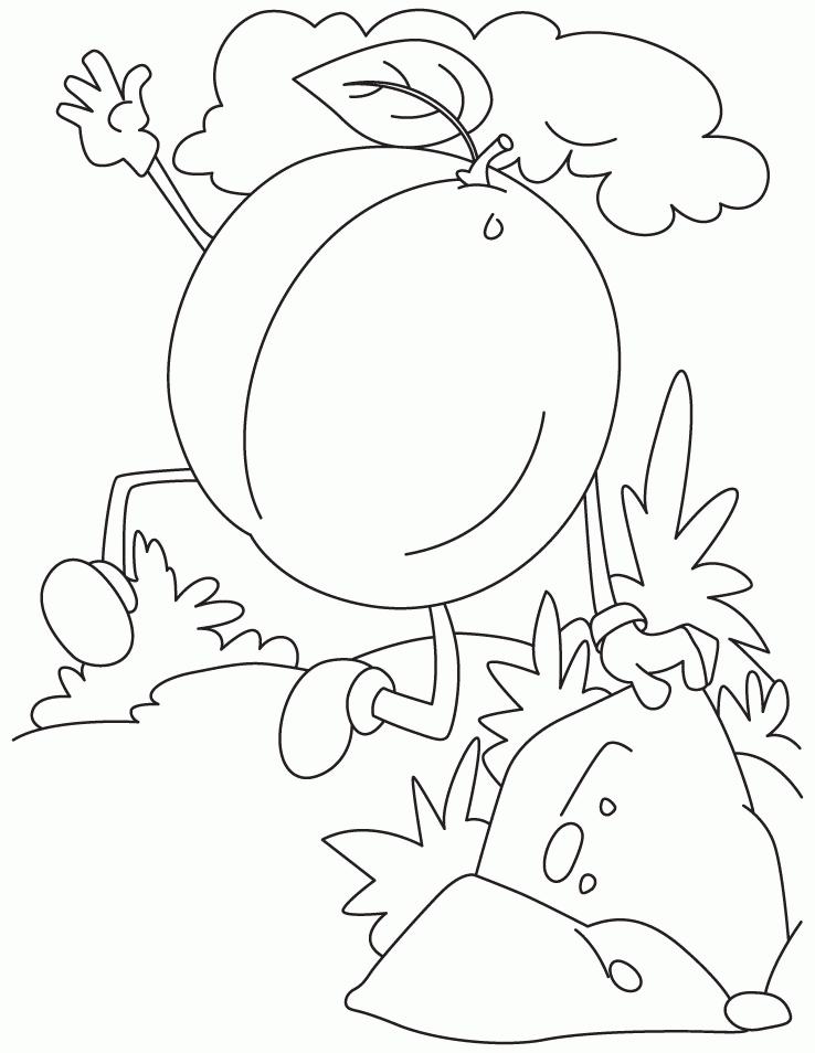 apricot fruit picture coloring pages 2 - games the sun | games 
