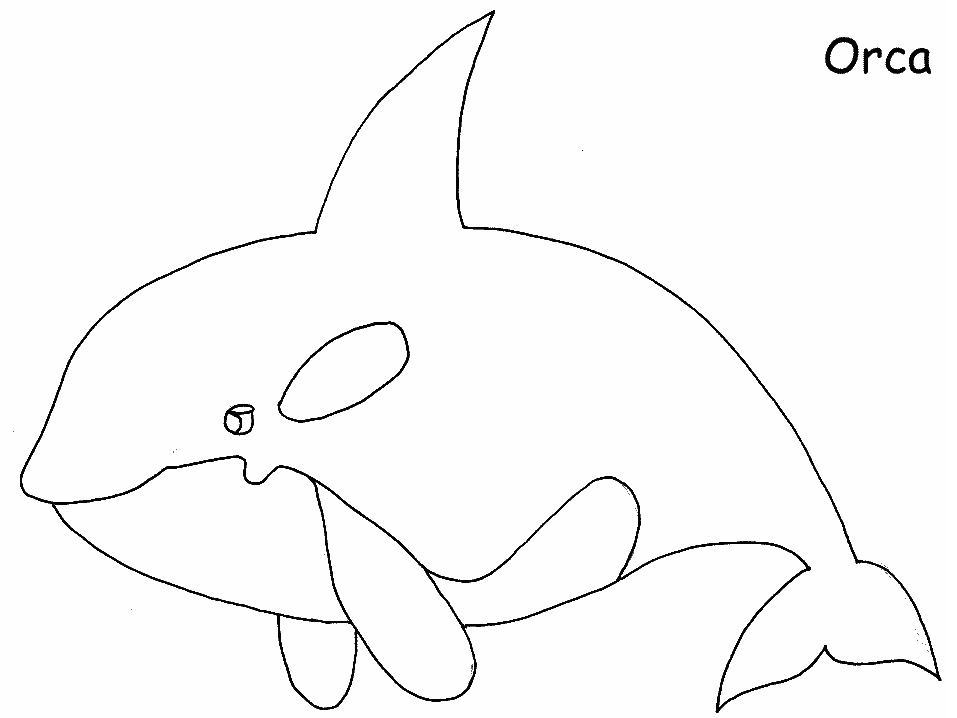 Whale Coloring Pages - Free Printable Coloring Pages | Free 