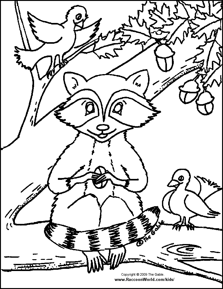 Raccoon Sitting in Tree - Raccoons Coloring Book from The Gable's 