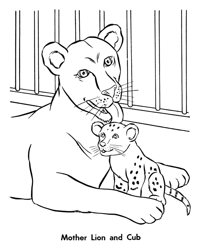 Coloring Pages Zoo Animals 5 | Free Printable Coloring Pages