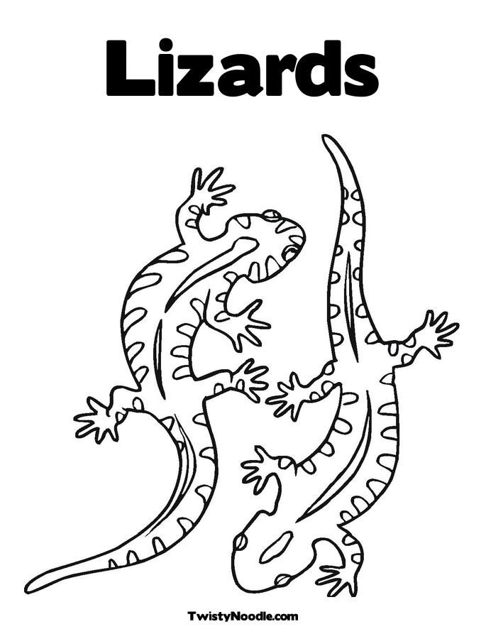 Lizard Coloring Sheet