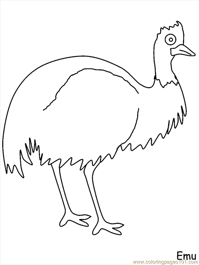 Coloring Pages Ostrich Emu (Animals > Birds) - free printable 