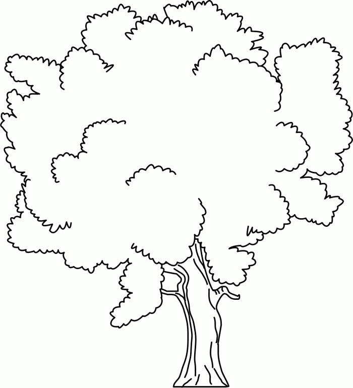 Coloring Page Of A Tree