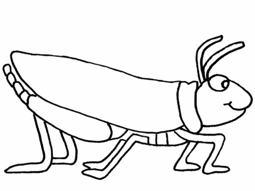 Free printable insect coloring pages for kids – Preschool 
