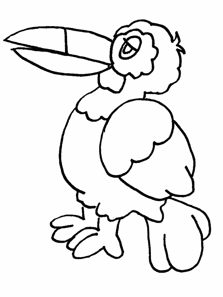 Printable Birds 8 Animals Coloring Pages