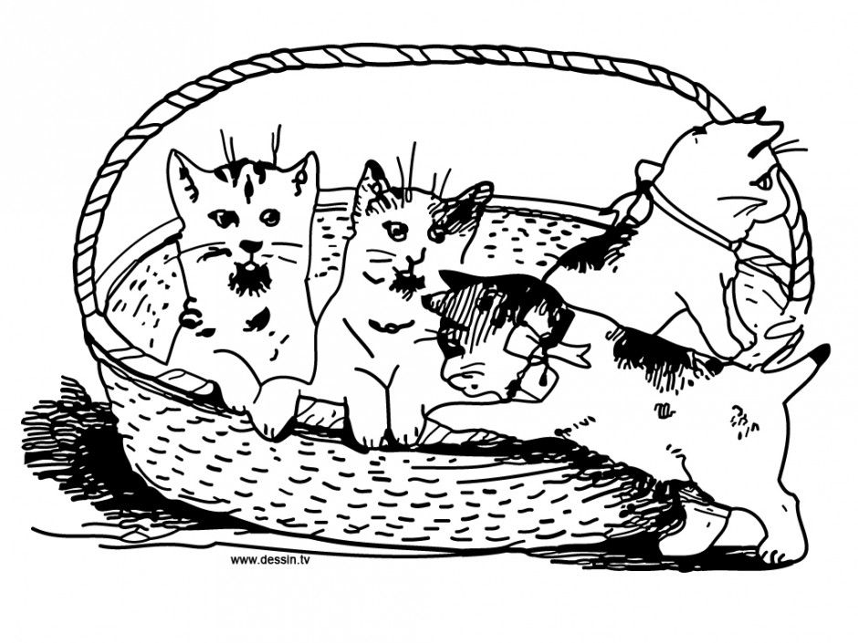 Coloring Pages Puppy Kitten GINORMAsource Kids Kitten Coloring 