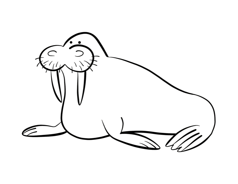 Walrus Coloring Page - Coloring Home