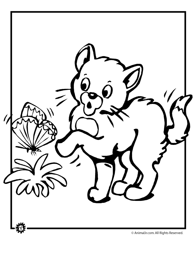 male-kitten-coloring-pages.gif