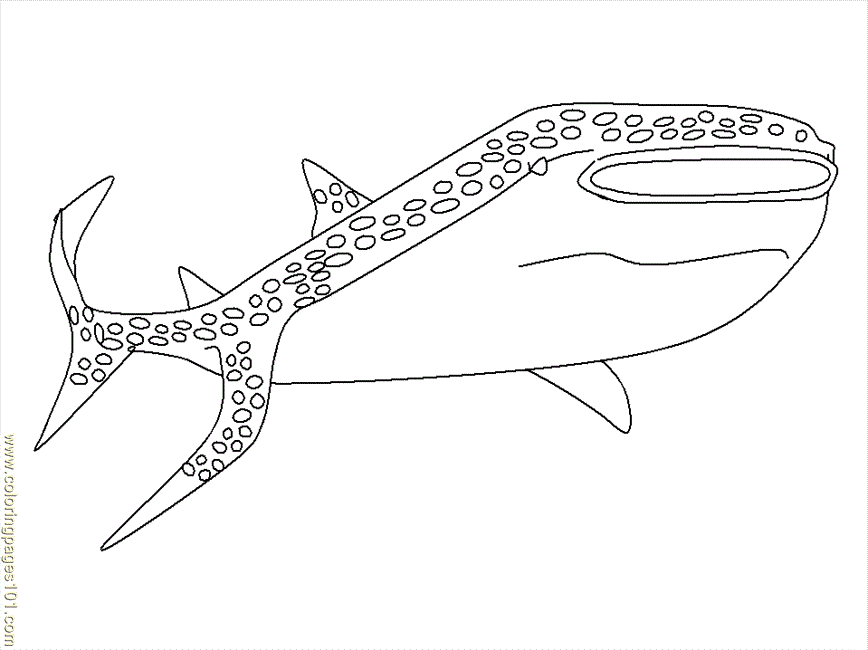 Coloring Pages Sharks (Fish > Shark) - free printable coloring 