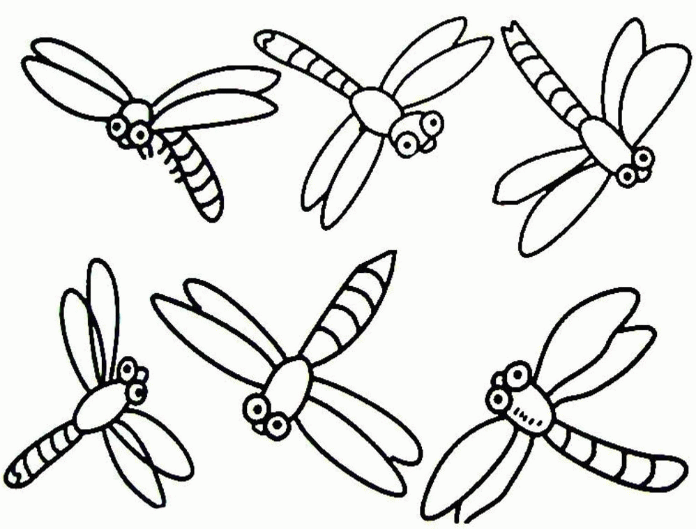 Dragonfly : Simple Dragonfly Coloring Pages, Simple Dragonfly 
