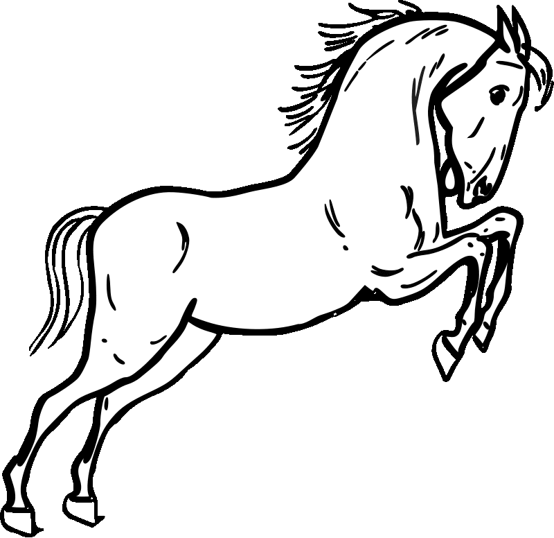 Jumping Horse Outline Coloring Page | Horse Coloring Pages Org