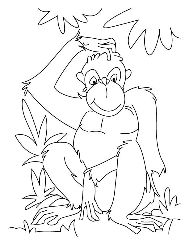 Chimpanzee in reflection mood coloring pages | Download Free 
