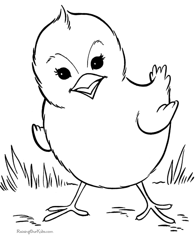 Bird Color Sheets | Free coloring pages