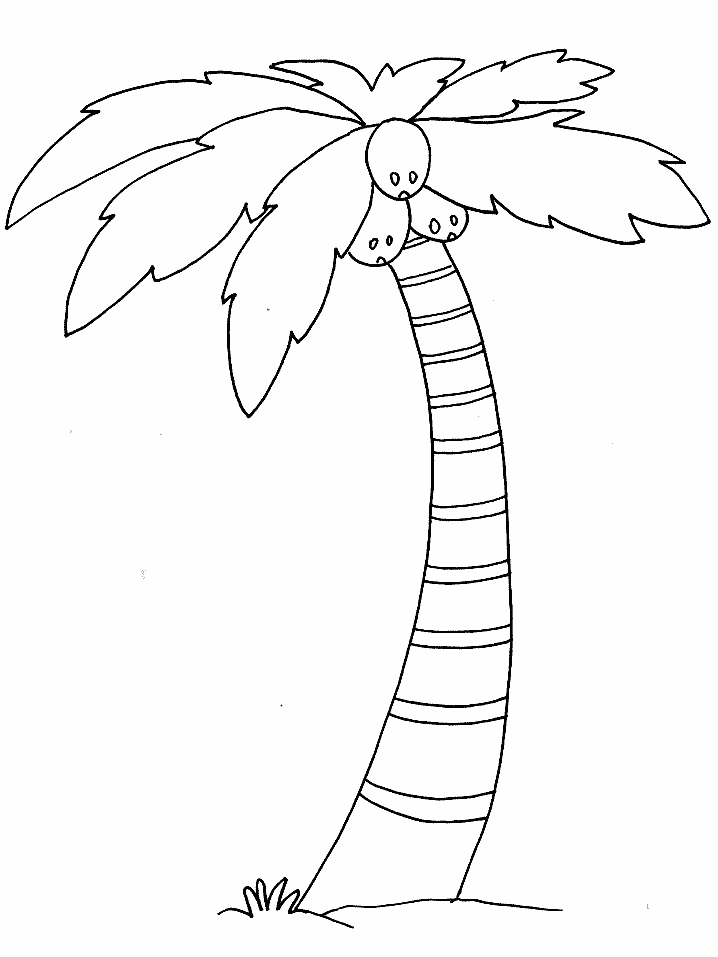 Tree12 Trees Coloring Pages & Coloring Book
