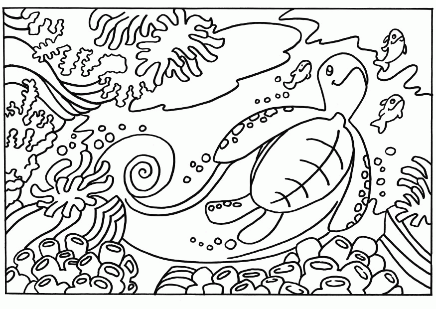 turtle-coloring-pages-03.jpg