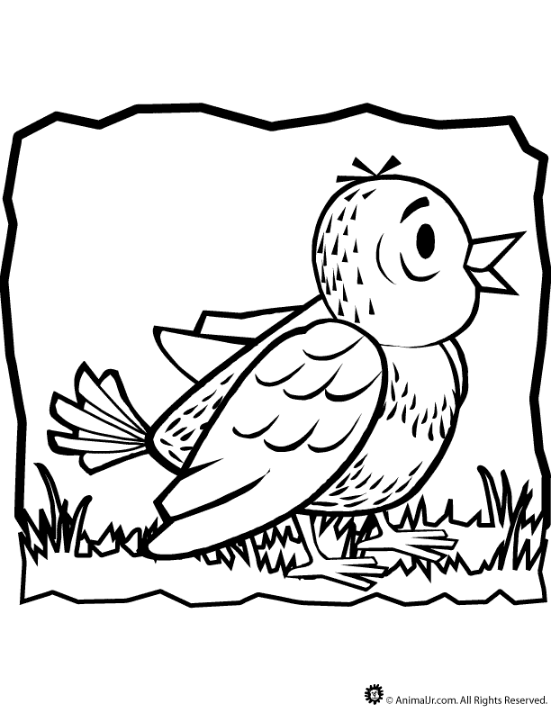 Sparrow Coloring Page | Classroom Jr.
