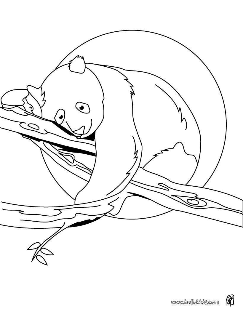 Panda on tree coloring pages - Hellokids.com