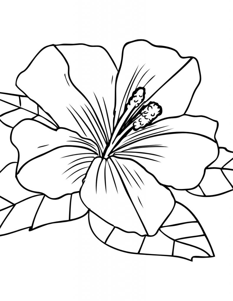 Cute Things Coloring Pages - Coloring Home