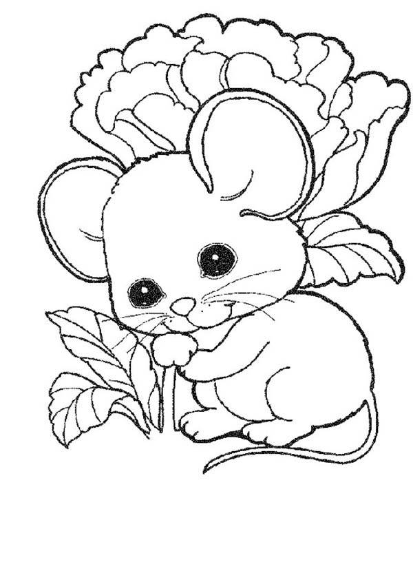 Cute Mouse And Rat Baby Coloring Pages : Bulk Color | Owl coloring pages,  Animal coloring pages, Cute coloring pages