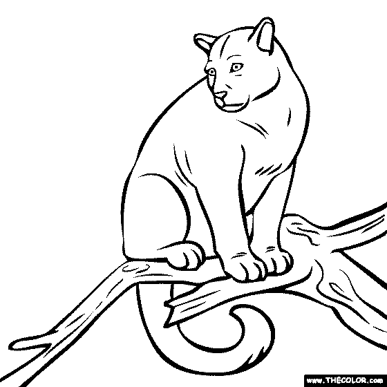 Puma Coloring Page | Coloring pages, Animal coloring pages, Animal canvas