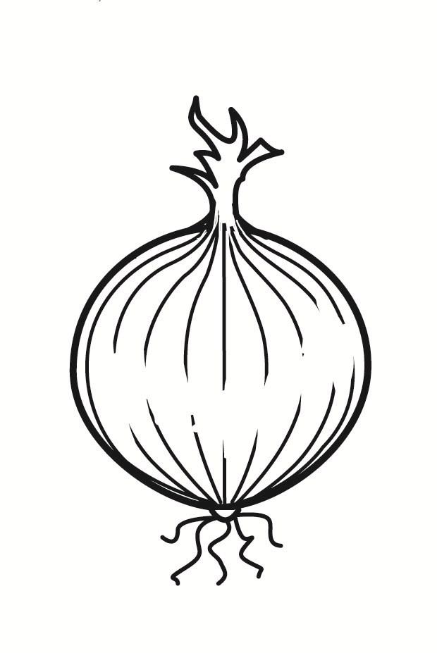 Coloring Page onion - free printable coloring pages
